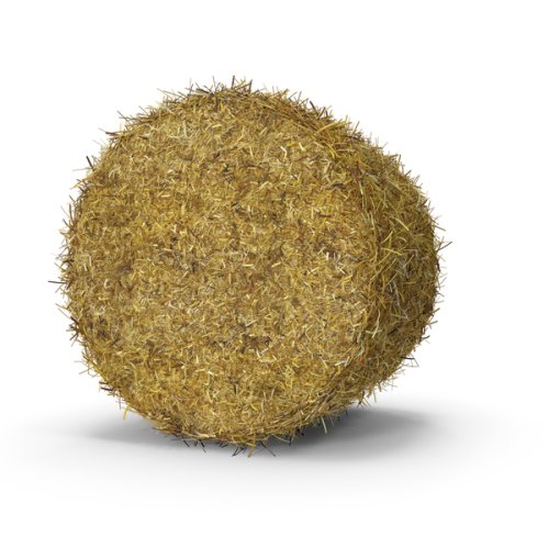 Round Bale of Fescue Hay